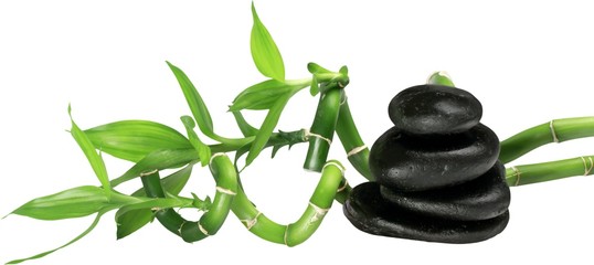 Zen Still Life - Isolated