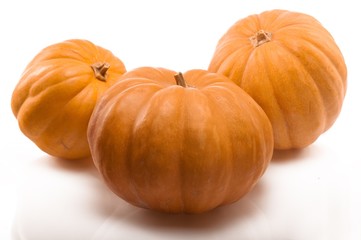 Obraz premium Autumn pile of Pimpkins