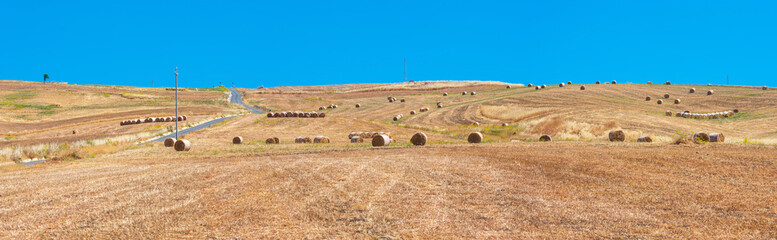 Fototapeta premium Sicily summer agriculture countryside, Italy