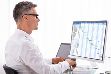 Fototapeta na wymiar Businessman Analyzing Gantt Chart On Computer