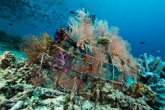 man-made artificial reef with metal struture and concrete to help marine life to recover destroyed area