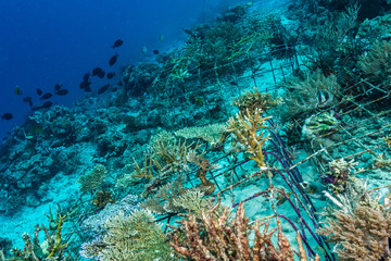 man-made artificial reef with metal struture and concrete to help marine life to recover destroyed area