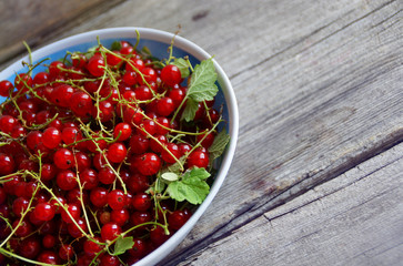  red currant on a wooden table