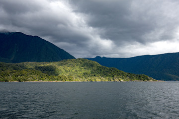 Sunlight over dense forest beside Doubtful Sound