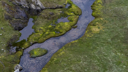 Wet swampy area in Norway