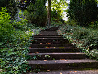 Stairs in Park