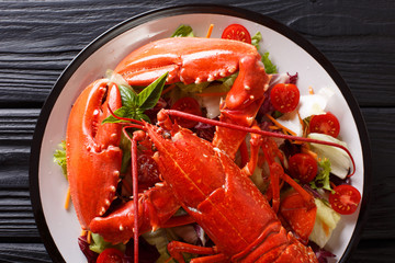 Whole cooked lobster served with vegetable salad close-up. horizontal top view
