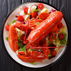 Served red lobster with fresh vegetable salad close-up on a black background. top view from above