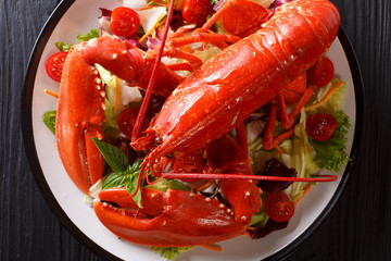 Seafood background. red lobster with fresh vegetable salad on a plate close-up. Horizontal top view from above