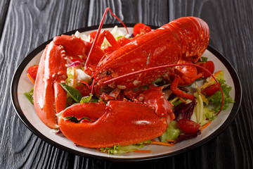 Seafood background. red lobster with fresh vegetable salad on a plate close-up. horizontal