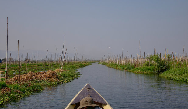 Floating garden on Inle Lake, Myanmar
