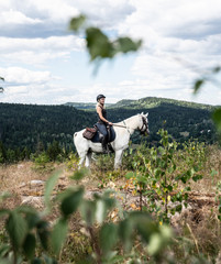 Horseback riding in the forest