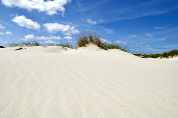 Fototapeta na wymiar amrum, sandweg, sandspiel, wind