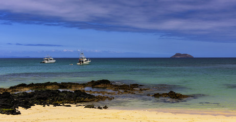 Fototapeta premium Holiday feeling on the sandy beach of Floreana, Galápagos-Archipel
