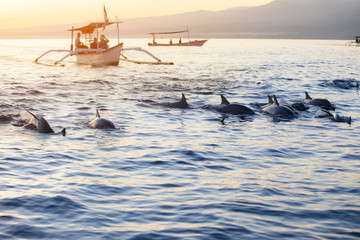 Naklejka premium Bali Indonezja bezpłatna łódź delfinów Oglądanie na plaży Lovina