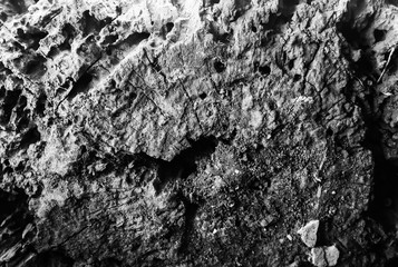 Old painted red wooden background. Stump rustic texture.