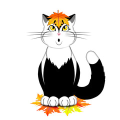 Осенний кот с листком на голове на белом фоне.