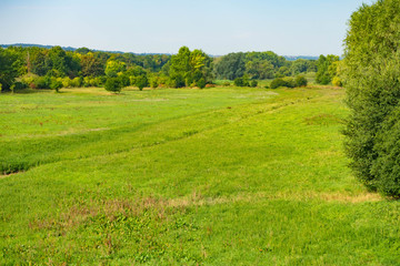 gr&uuml;ne Wiese im Vordergrund, B&auml;ume im Hintergrund blauer Himmel