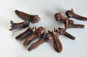 macro avec des graines de clou de girofle sauvage