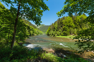 Fototapeta na wymiar The turn of the river Dunajec in Pieniny, Poland and Slovakia