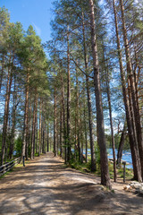 River and rapids of Koitelinkoski in Oulu, Finland. Summer scenery.