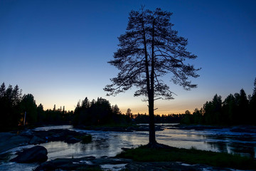 River and rapids of Koitelinkoski in Oulu, Finland. Summer scenery.