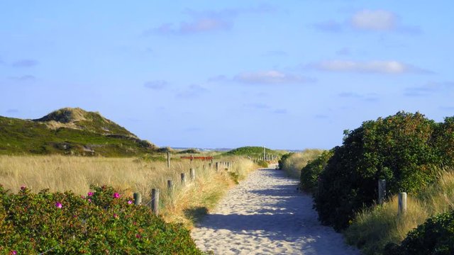 Sylt D&uuml;nen Landschaft Strandweg in H&ouml;rnum