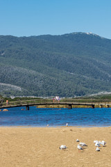 Tidal River in the southern section of Wilsons Promontory National Park in Gippsland, Australia.