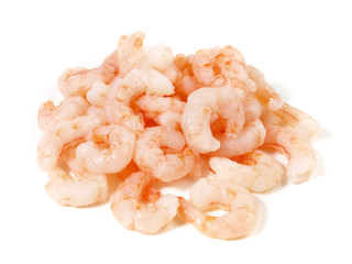Eismeer Shrimps
