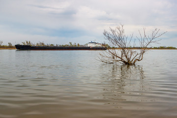 River surface with big cargo ship and flooded dry tree. River Don, Russia, Rostov-on-Don region
