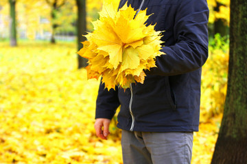 Part of the image of a man in the Park among the fallen yellow leaves.