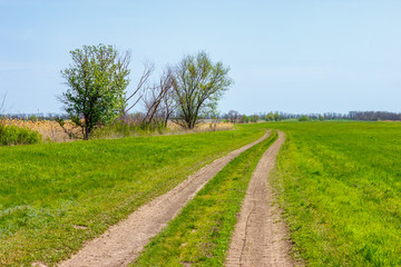 Fototapeta na wymiar Unpaved ground road in the green field