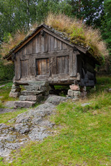 Old traditional Norwegian storehouse with green grass on the roof at picturesque forest background, Kristiansand, Norway