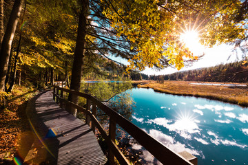 Paysage d'automne dans les Vosges alsace lac de Lispach - obrazy, fototapety, plakaty