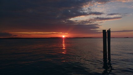 Sunset over the water from Harbour Island, Bahamas. Silhouette of a bird over a trunk