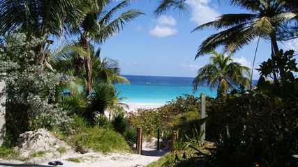 Fototapeta na wymiar Beautiful path to the turquoise crystal clear water of a Caribbean beach