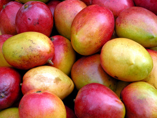 Mangos