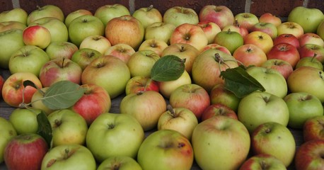 Apfelkuchen,apfel, obst, essen, rot, isoliert, gesund, frisch, weiß, reif, green, saftig, diät, süss, gesundheit, frische, natur, vegetarier, auflösungszeichen, köstlich, bio, vitamin, gelb