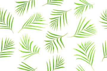 Naklejka na ściany i meble Seamless pattern of tropical leaves palm tree