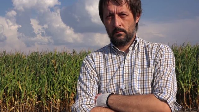Portrait of confident male farmer in corn field, thinking and planning next agricultural activity