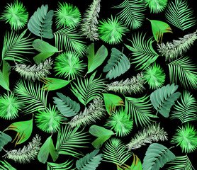 mix leaf of palm tree background