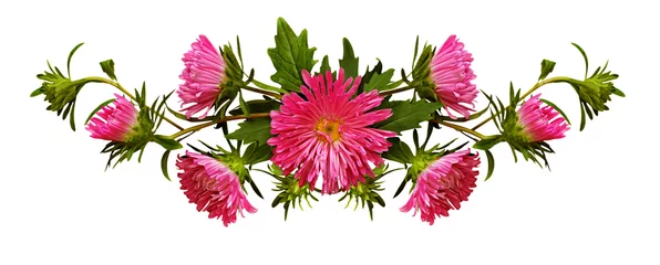 Raamstickers Tropische planten Aster flowers in line arrangement
