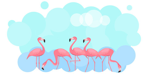Banner of pink flamingos on a background of blue sea. A set of various pink flamingos.