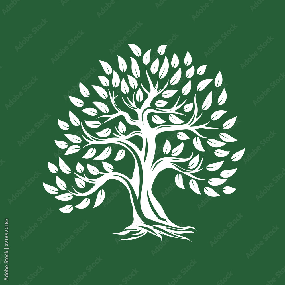 Sticker Organic natural and healthy olive tree silhouette logo isolated on green background.