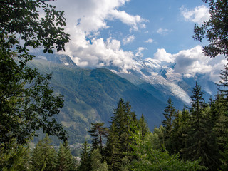 Mont blanc and the European Alps near Chamonix, Haute Savoie, France. Mountains seen through trees from the popular footpath 'petit balcon sud' ie small south trail.