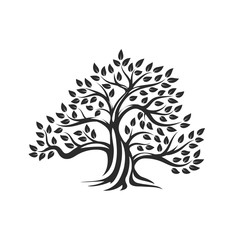 Obraz premium Organic natural and healthy olive tree silhouette logo isolated on white background.
