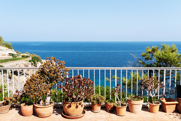 pottet plants on patio against blue mediterranean sea and sky