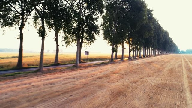 roadway