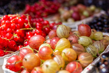 Fresh redcurrant and gooseberries in paper trays at market.  Background.