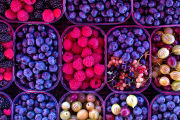 Background of forest fruit and berries in plastic trays at market.